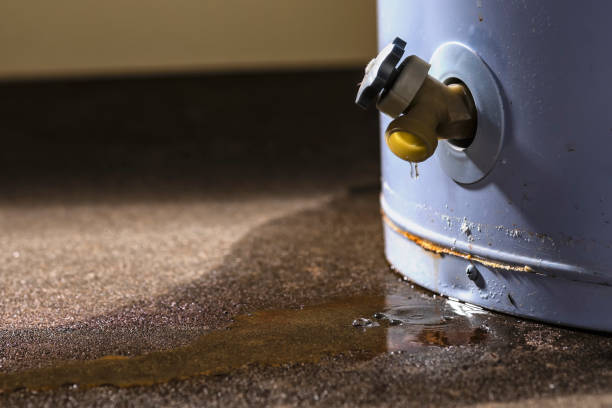 Best 24/7 water damage repair  in Covington, TN