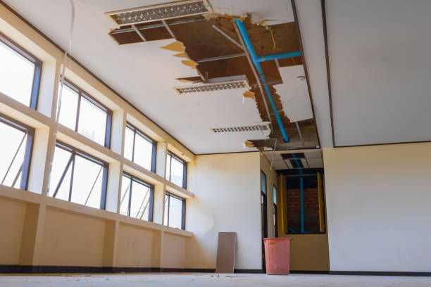 Best Water damage restoration cost  in Covington, TN