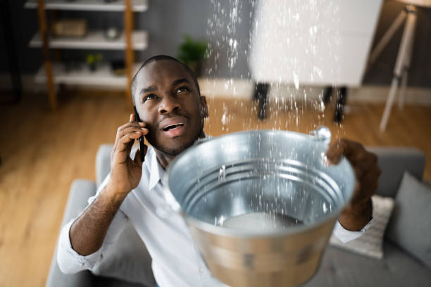Best 24/7 water damage repair  in Covington, TN
