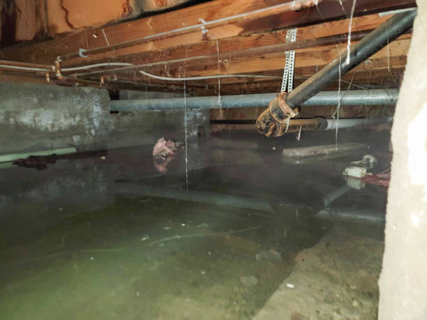  Covington, TN Water damage restoration Pros