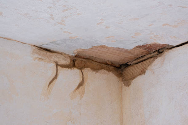 Best Water damage cleanup near me  in Covington, TN