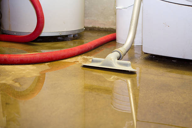 Best Water damage restoration near me  in Covington, TN